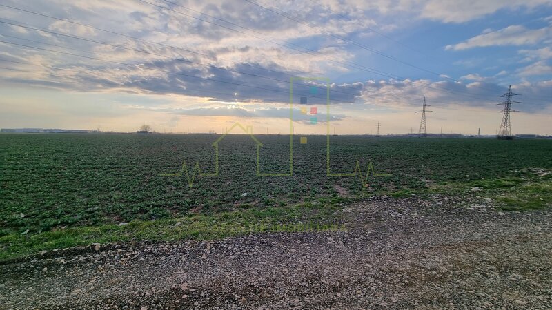 Zona industriala Freidorf.